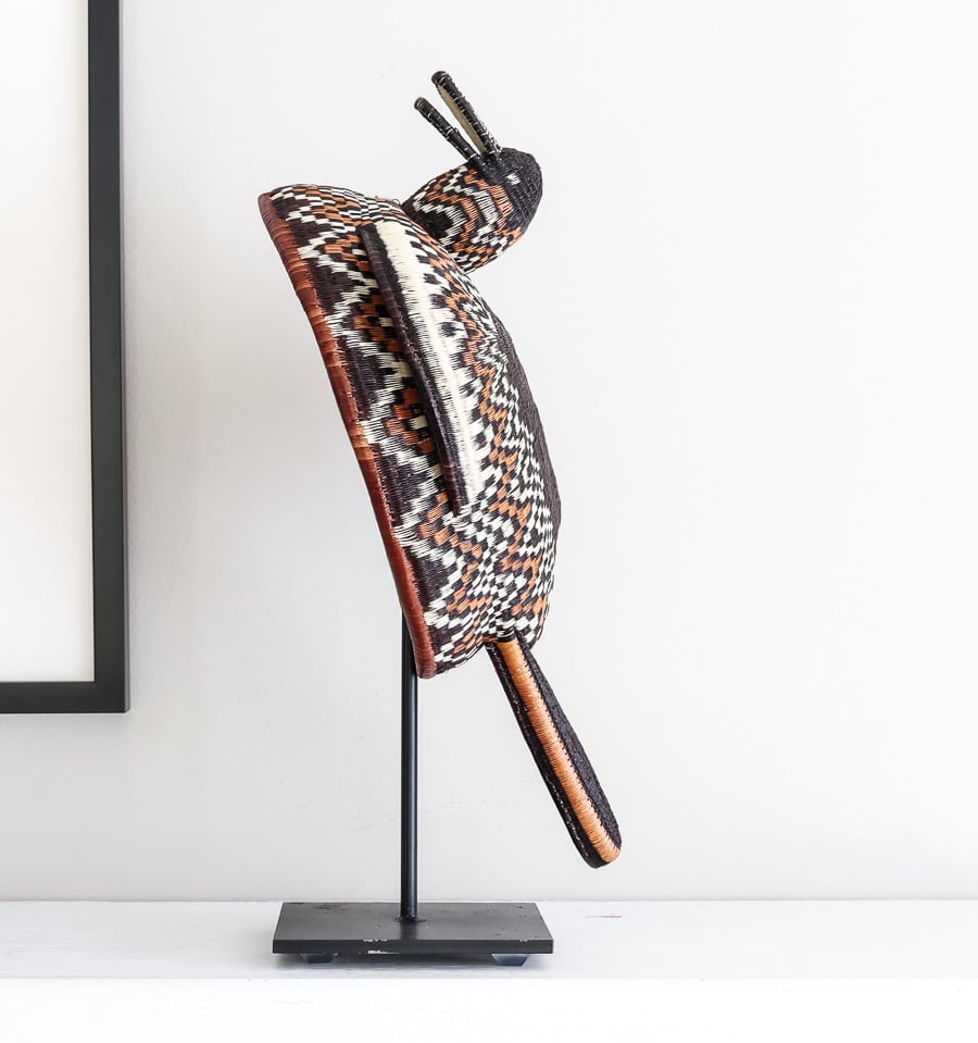 Duck Weaving Rainforest Baskets